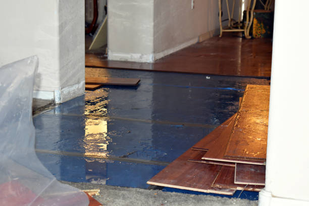 Professional Emergency Water Damage Restoration technician working in Windsor, OH